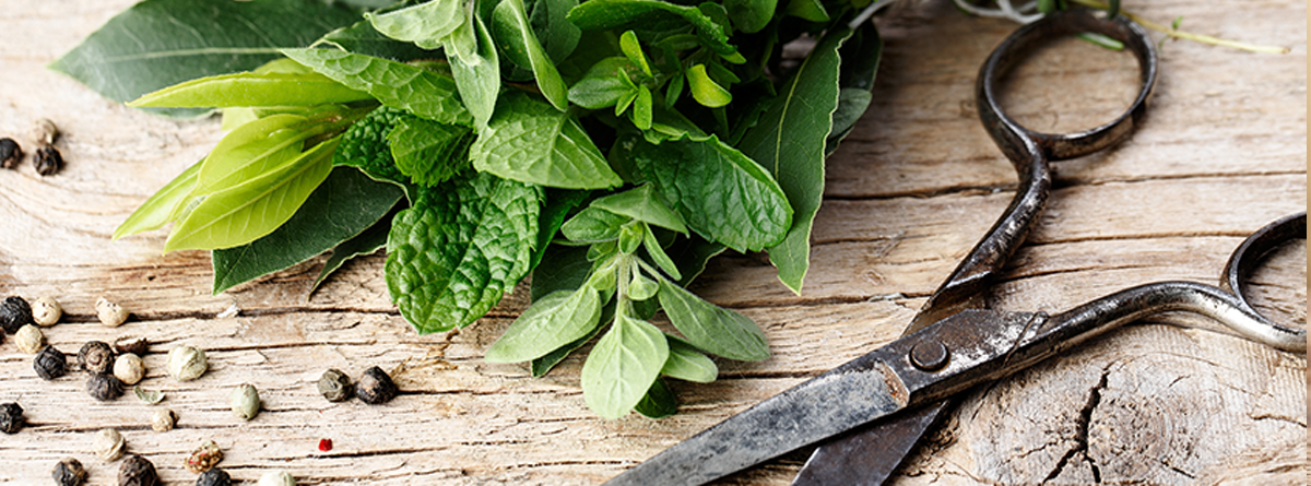 herbs stress relief
