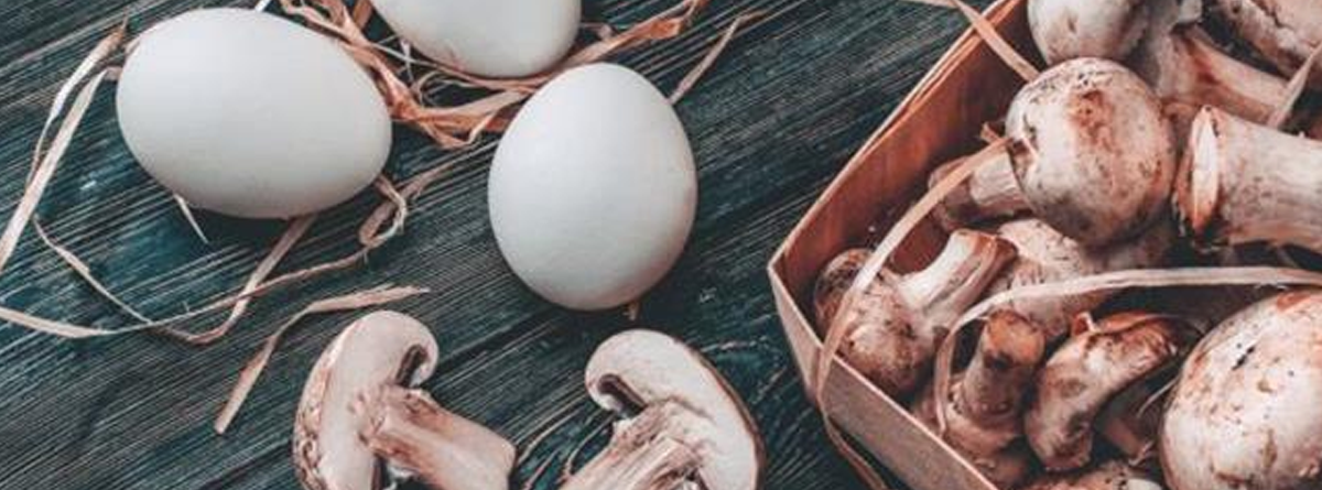 protein